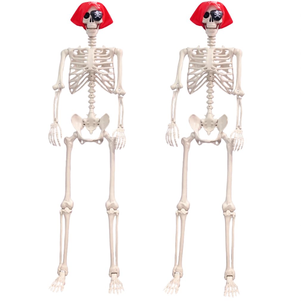 Life Size Posable Skeleton Decoration R573