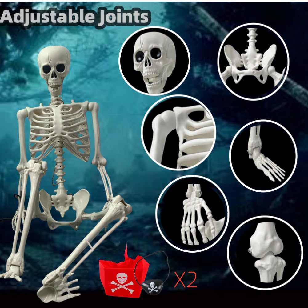 Life Size Posable Skeleton Decoration R573