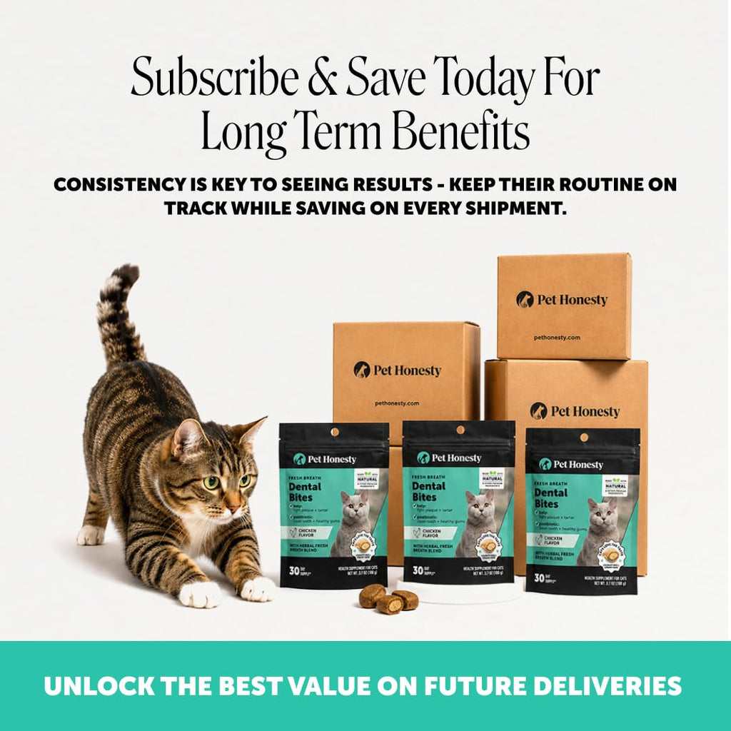 Cat Teeth Cleaning Bites O98263