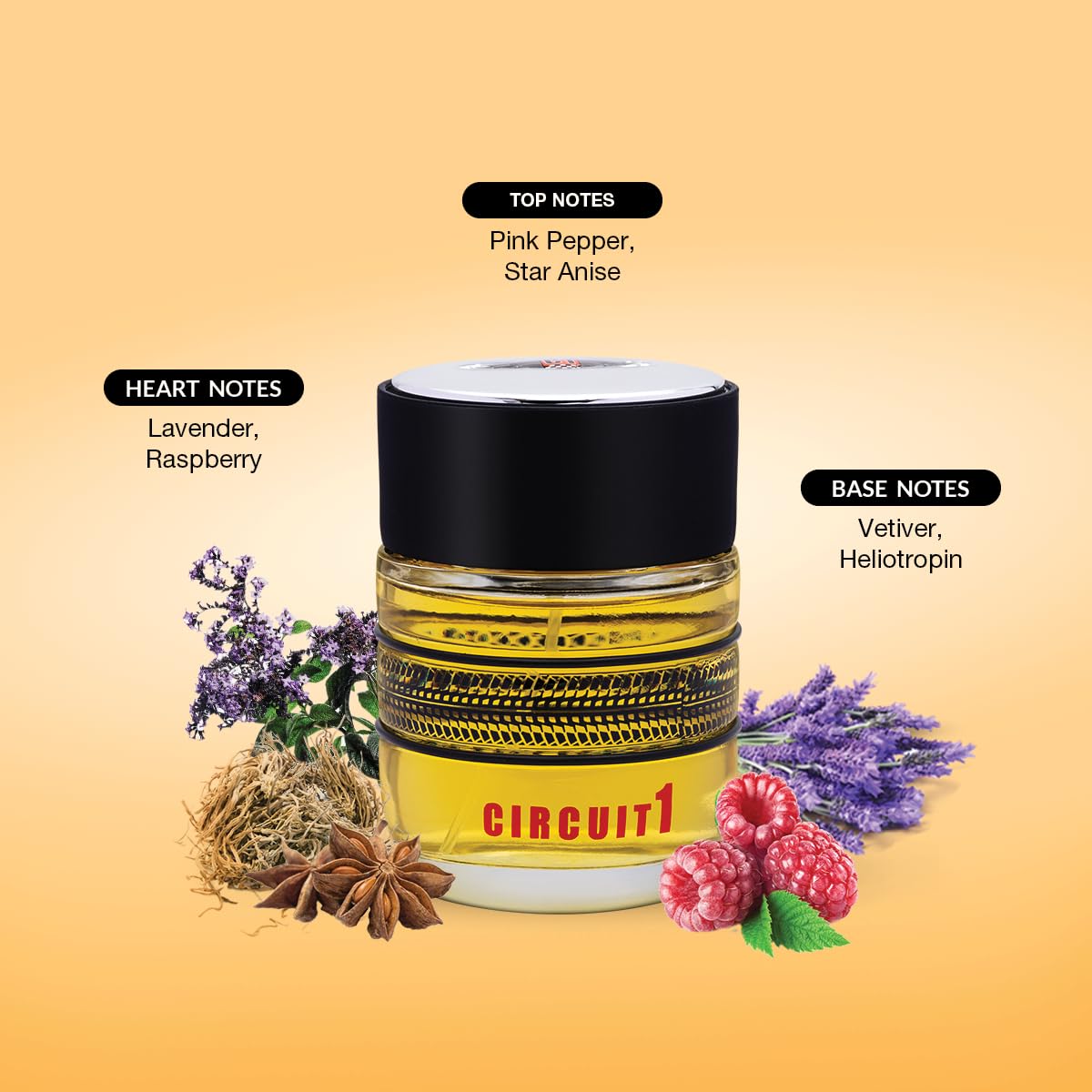 Men's EDT 100ml P415506