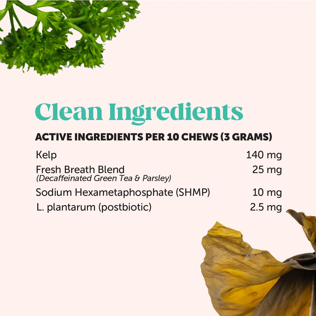 Cat Teeth Cleaning Bites O98263