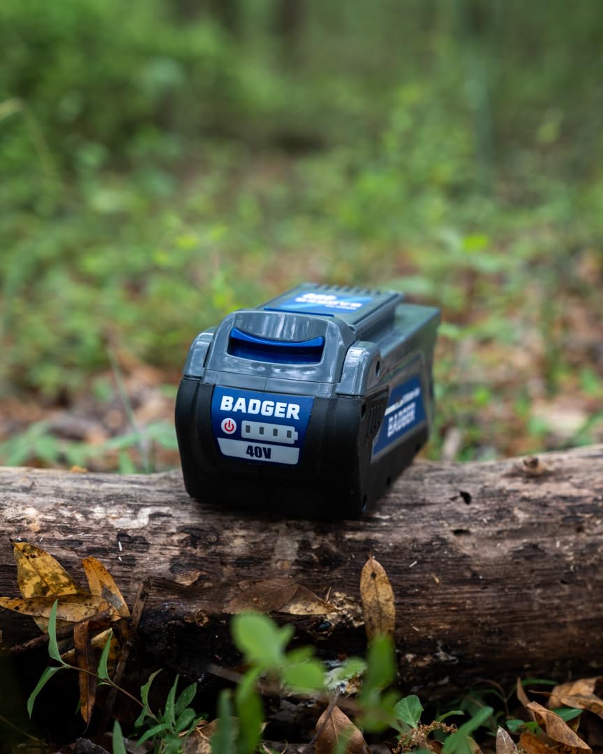 Cordless 40 Volt 5.0 Ah Battery W272
