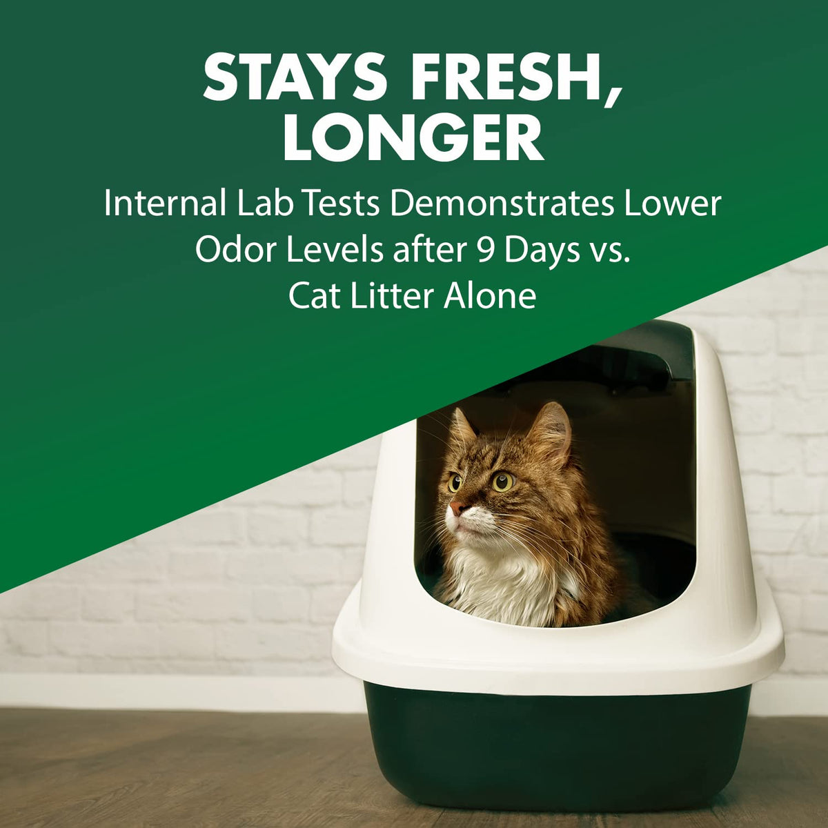 Cat Litter Deodorizer 20 Oz L252