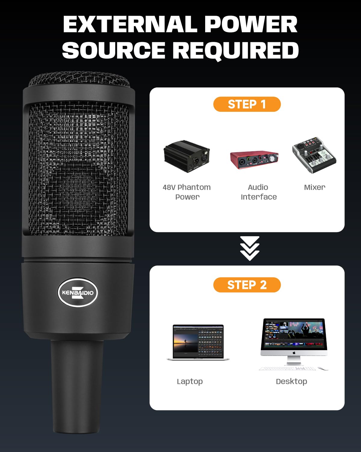 XLR Condenser Microphone with 26mm Large Diaphragm B114