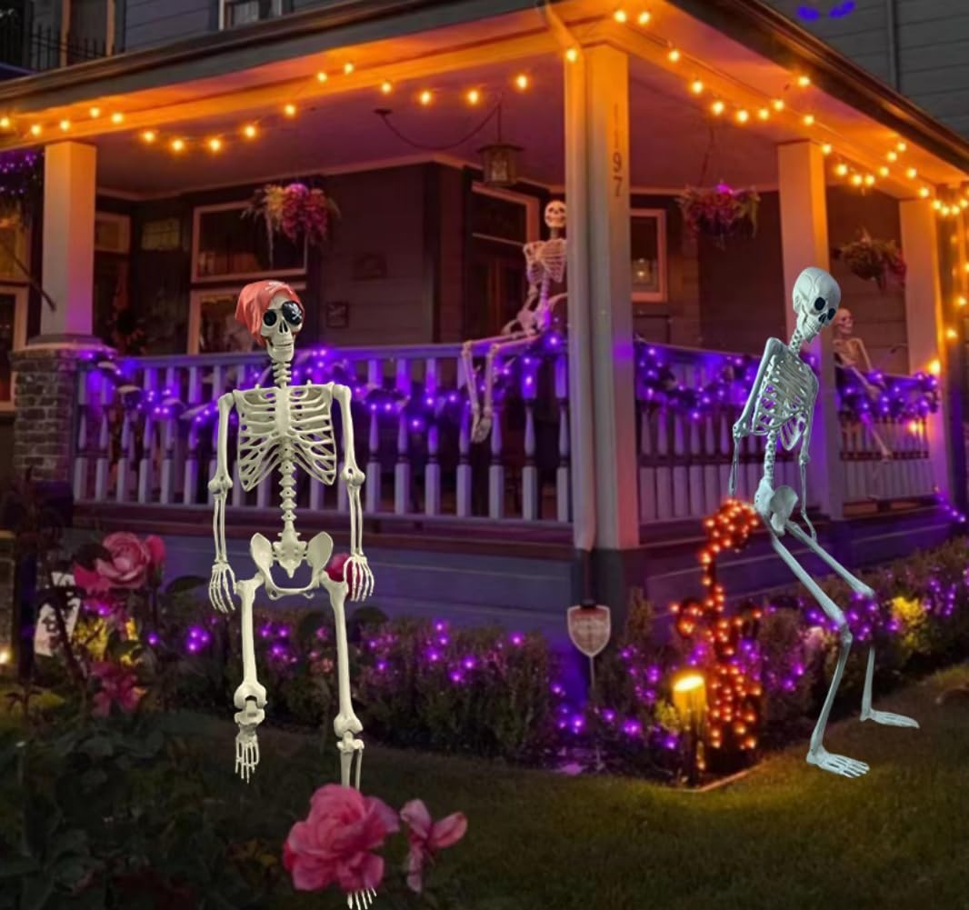 Life Size Posable Skeleton Decoration R573