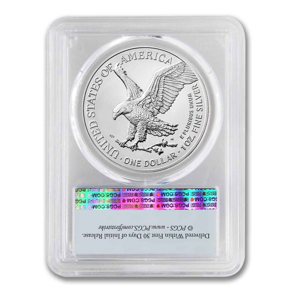 1 oz American Silver Eagle Coin X832845
