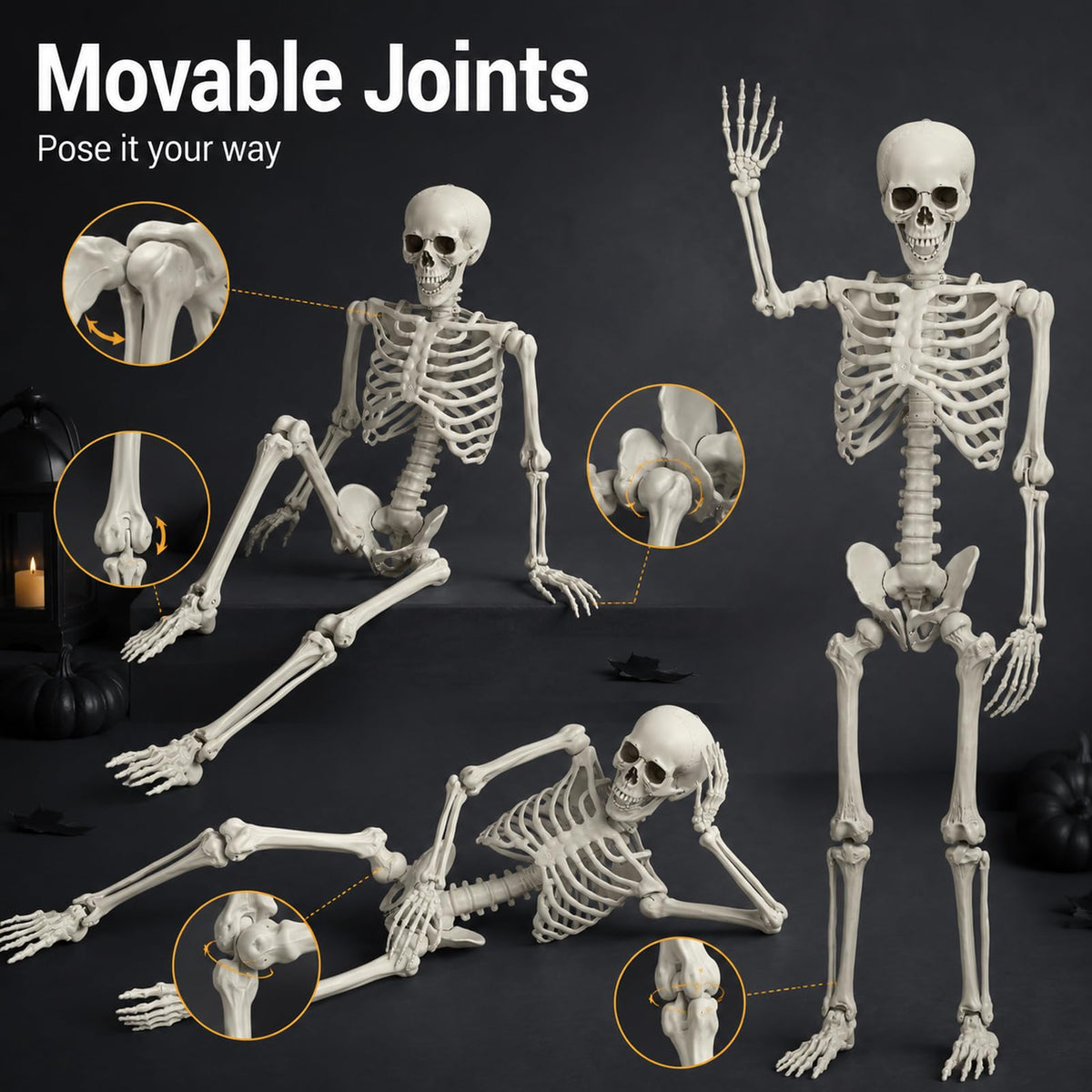 Life Size Full Body Skeleton Prop T951