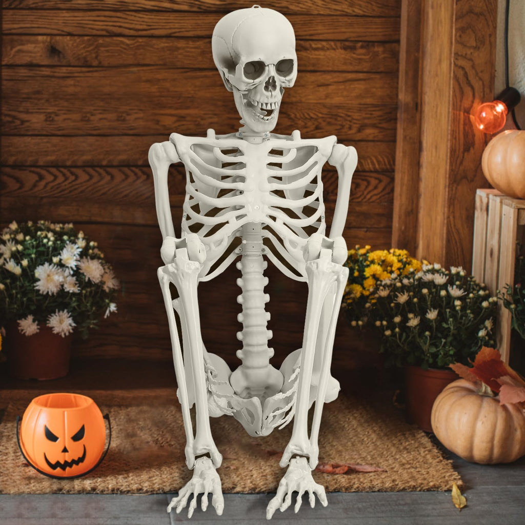 Life Size Full Body Skeleton Prop T951
