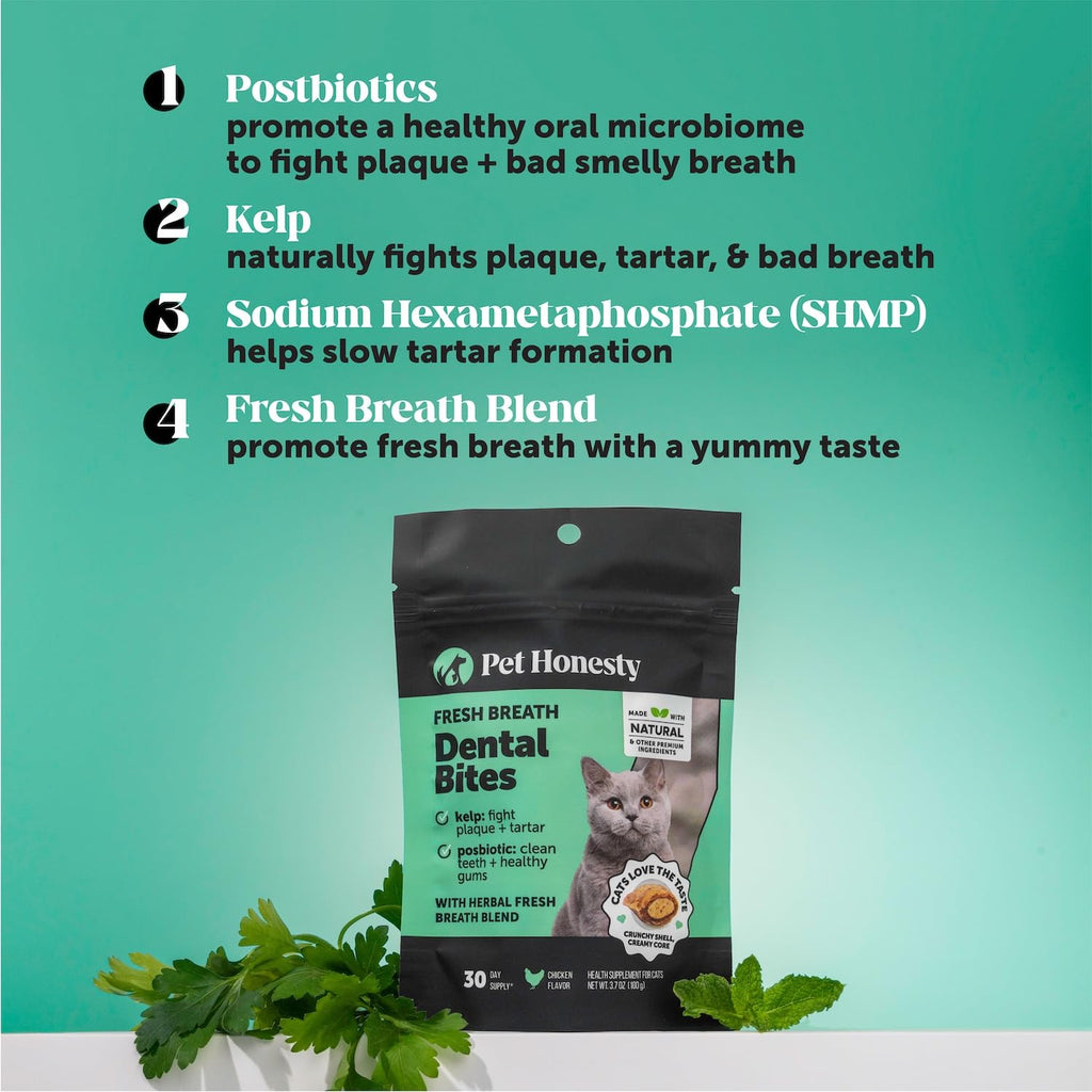 Cat Teeth Cleaning Bites O98263
