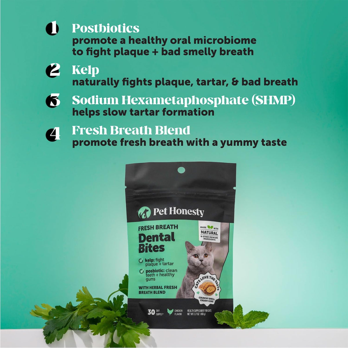 Cat Teeth Cleaning Bites O98263