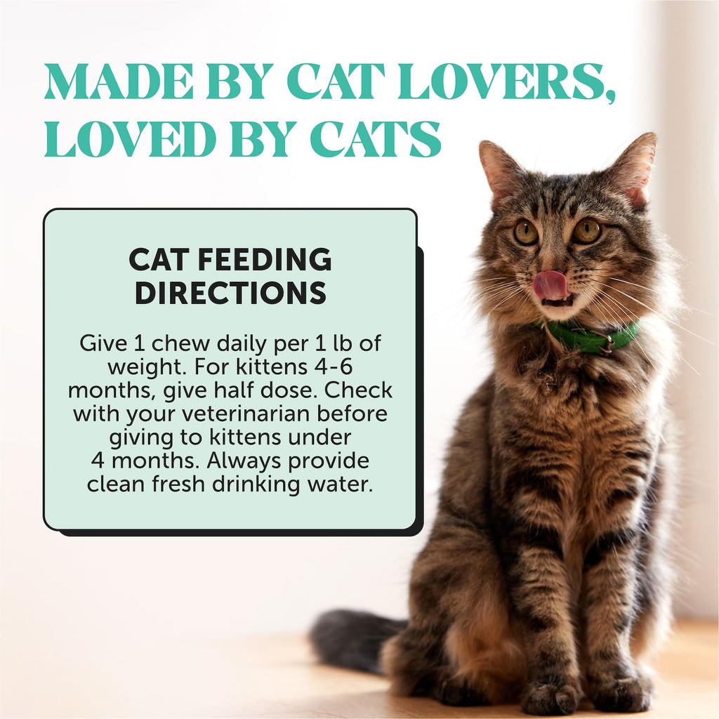 Cat Teeth Cleaning Bites O98263