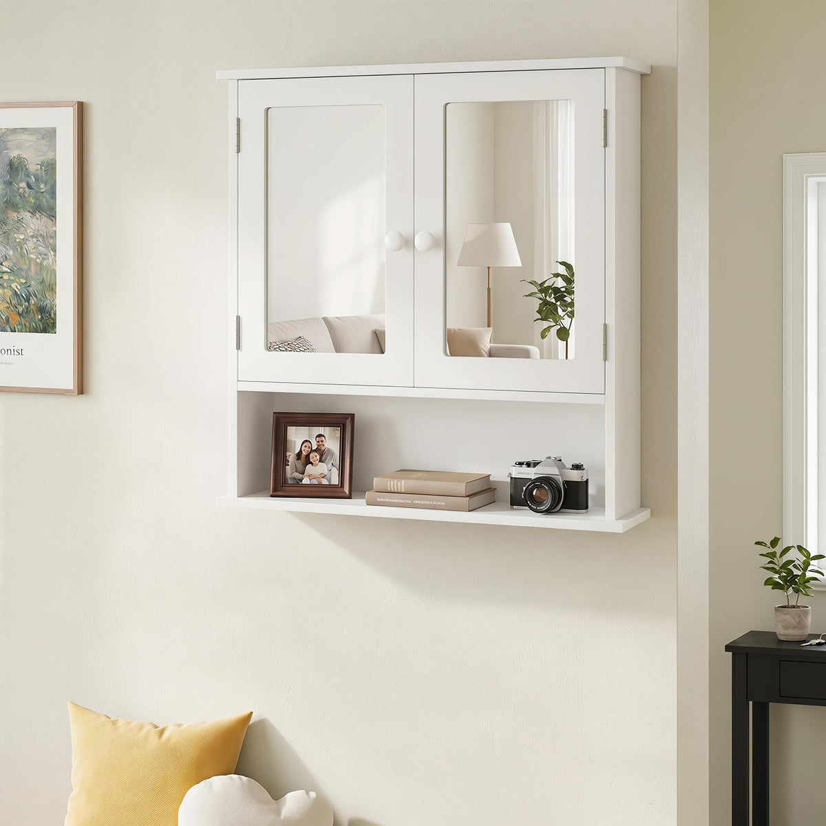 Wall Mounted Mirror Medicine Cabinet with Doors and Shelves J434818