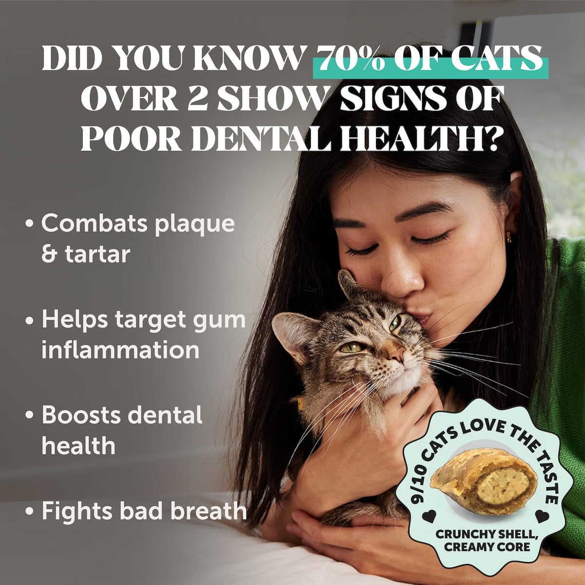 Cat Teeth Cleaning Bites O98263
