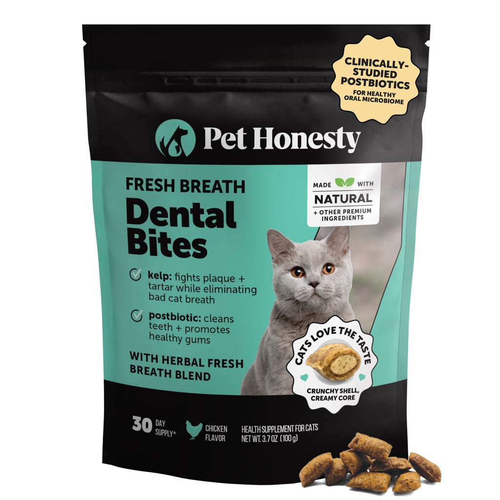 Cat Teeth Cleaning Bites O98263