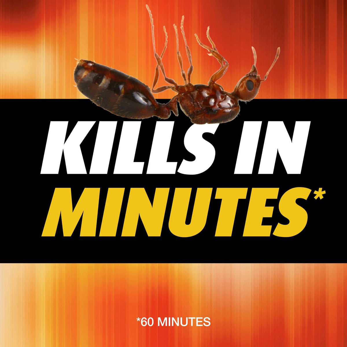Fire Ant Killer 12 oz 3-Pack C168254