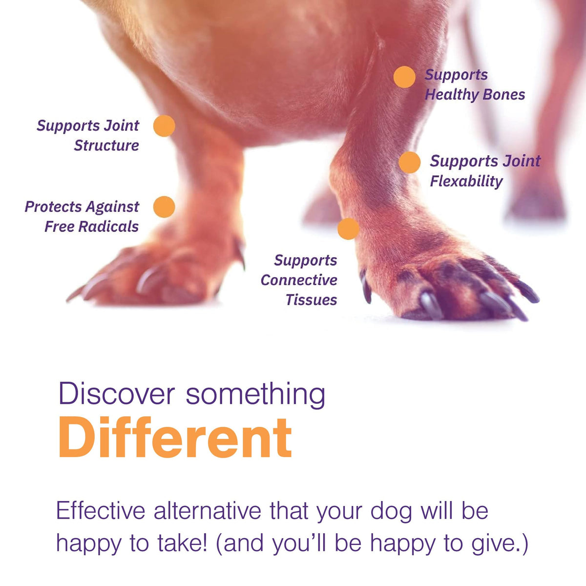 Joint Support Supplement for Dogs - 60 Soft Chews for Small Dogs P2781