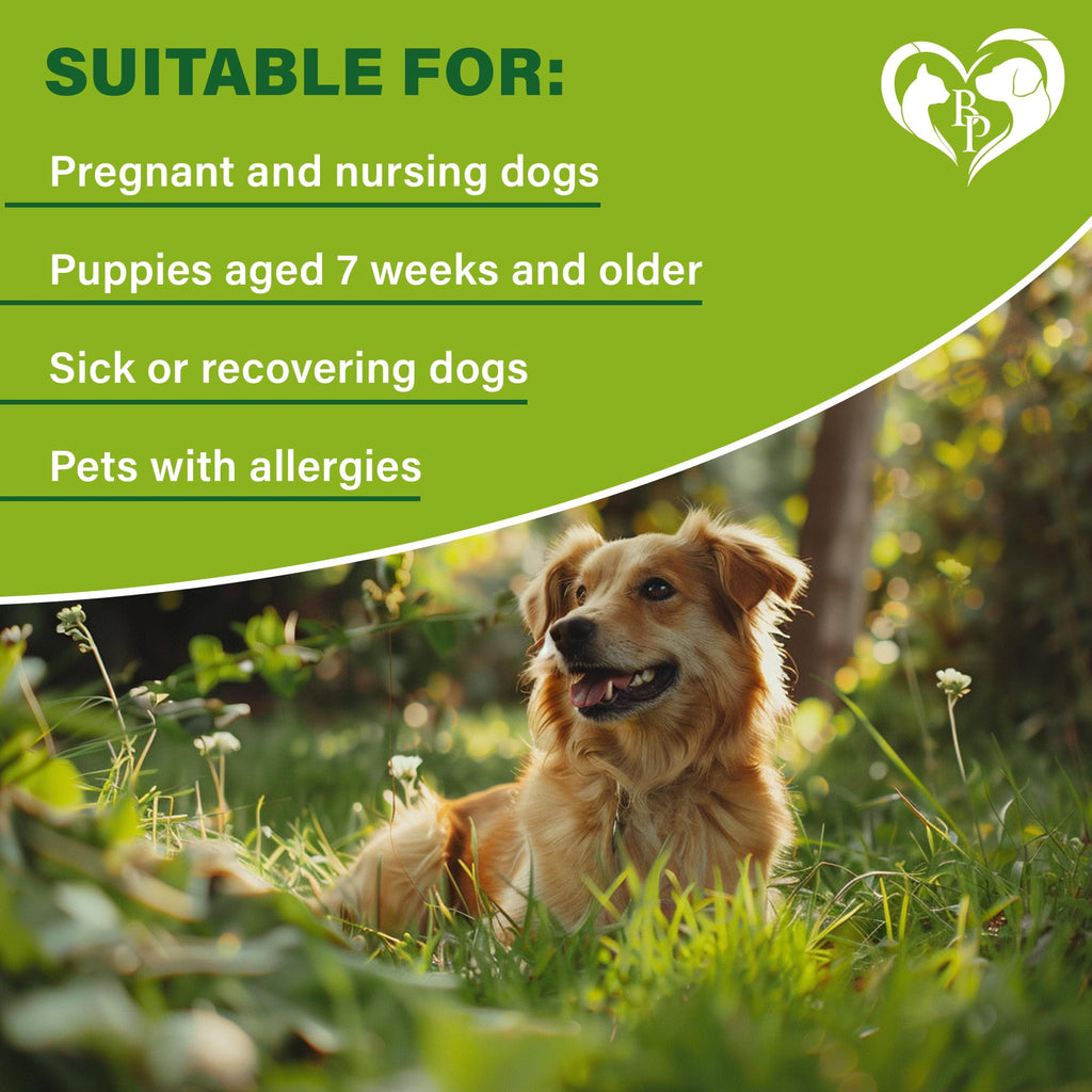 Natural Flea & Tick Collar for Dogs Z51378