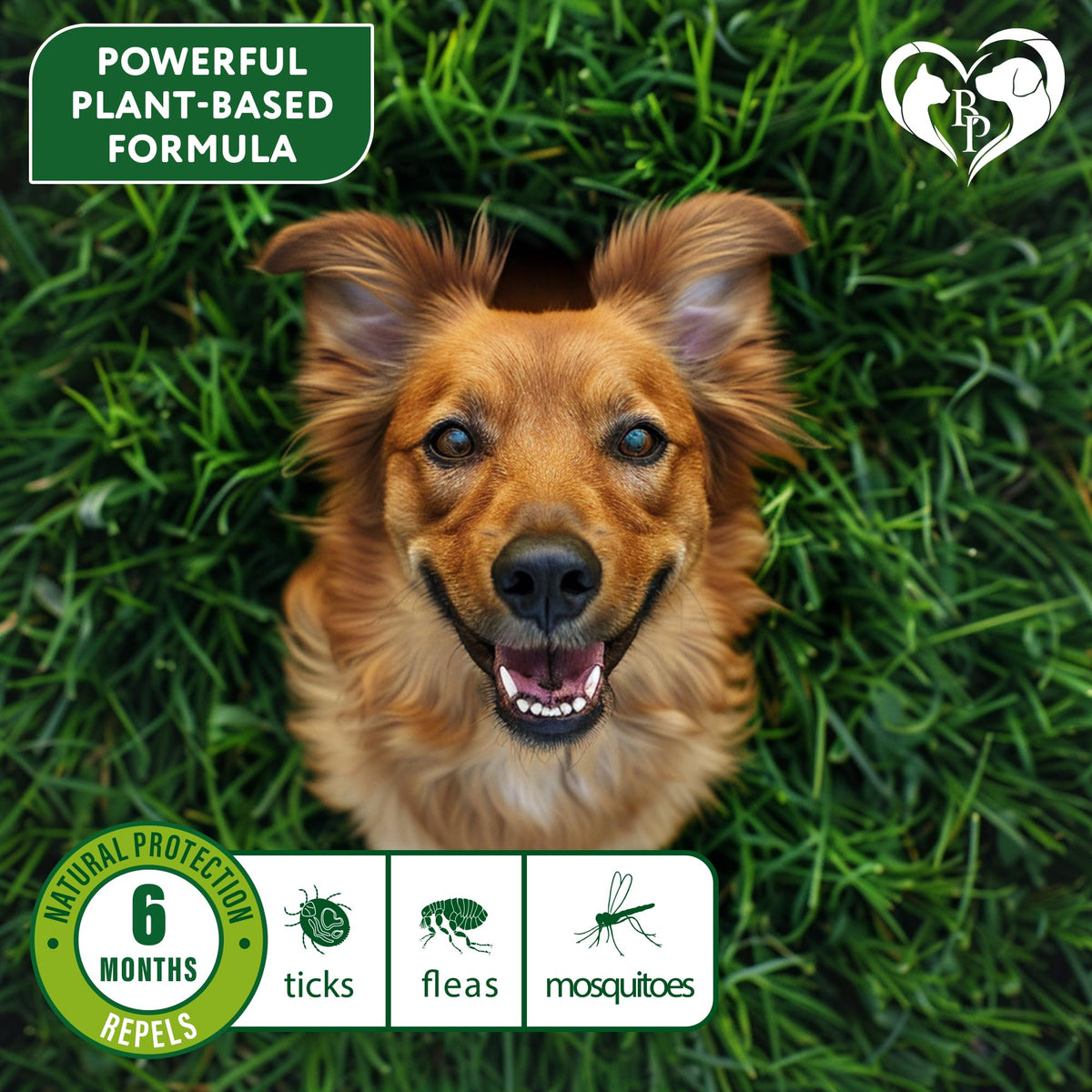 Natural Flea & Tick Collar for Dogs Z51378