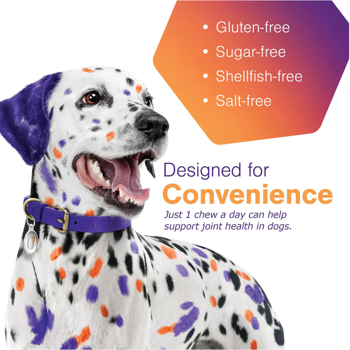 Joint Support Supplement for Dogs - 60 Soft Chews for Small Dogs P2781