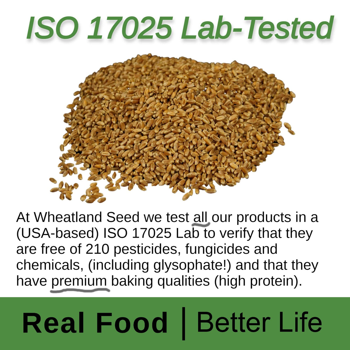 Organic Hard Red Wheat Berries 20lb Bucket S613418