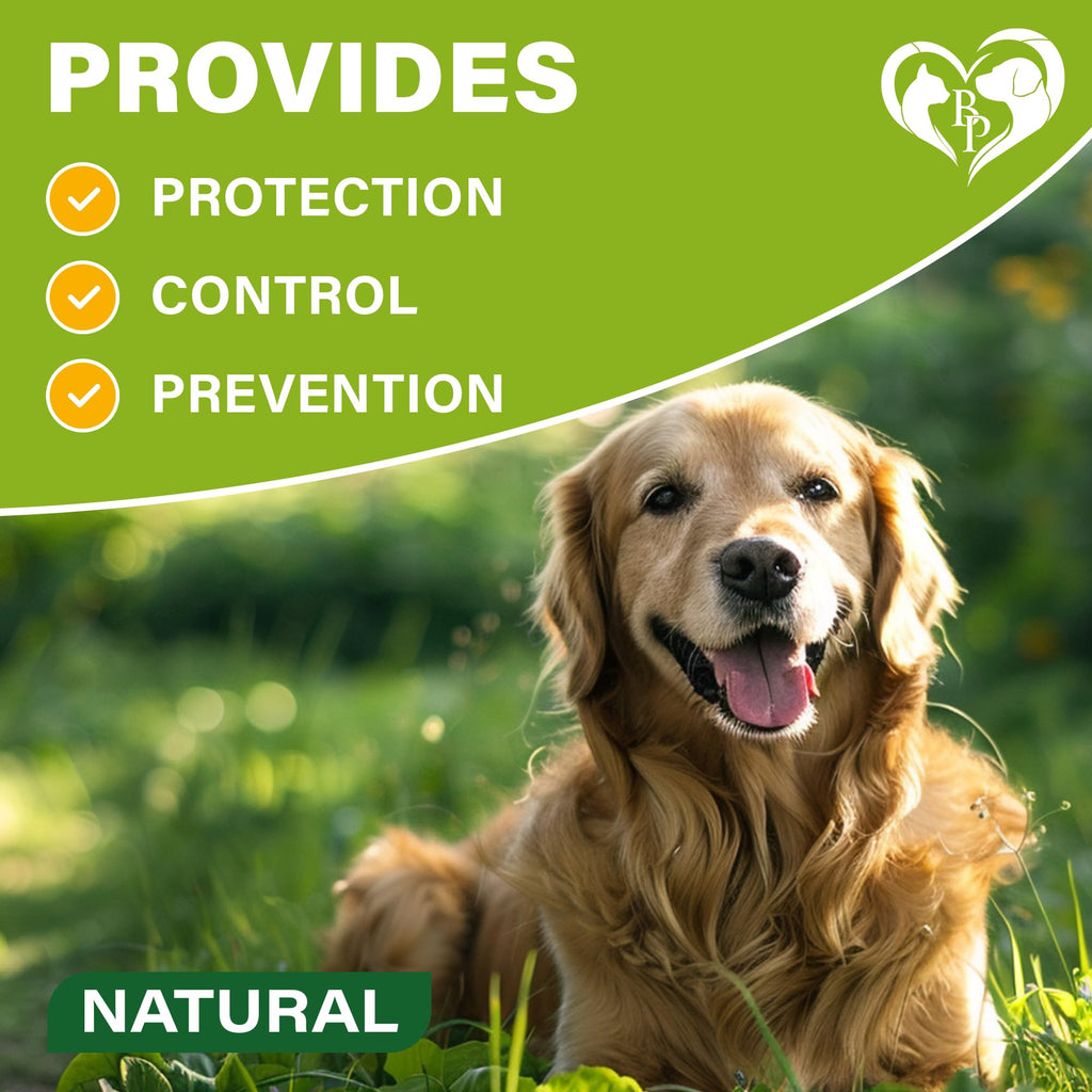 Natural Flea & Tick Collar for Dogs Z51378
