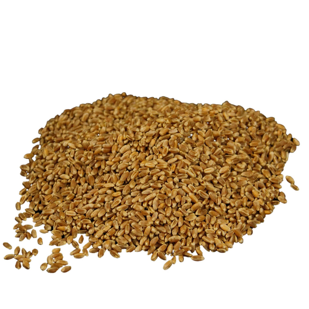 Organic Hard Red Wheat Berries 20lb Bucket S613418