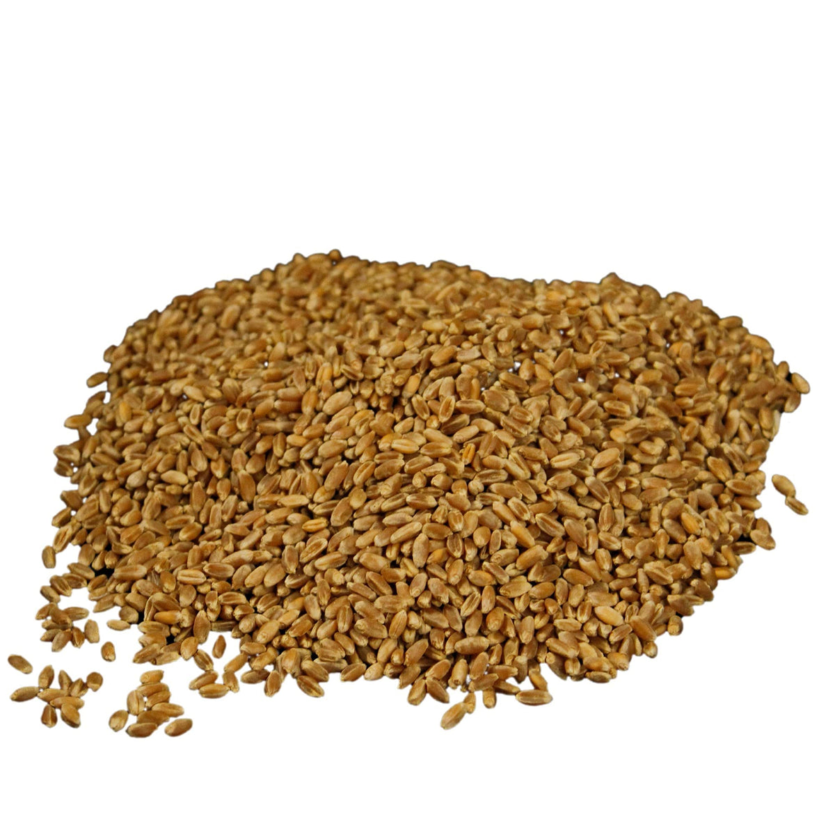 Organic Hard Red Wheat Berries 20lb Bucket S613418