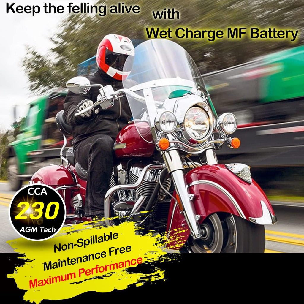 12V 11.2AH 230CCA Maintenance Free Sealed AGM Motorcycle Battery X7369