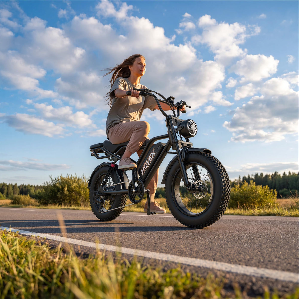 Electric Bike 48V 500W D674147