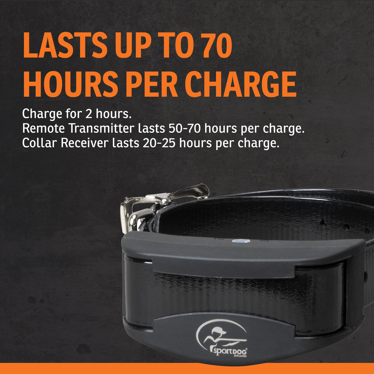 Remote Trainer 100-Yard Range Z7857