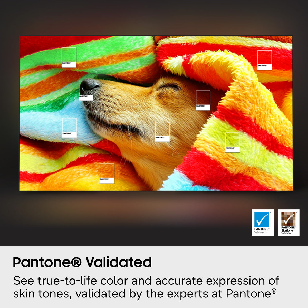 55-Inch OLED 4K Smart TV A6523