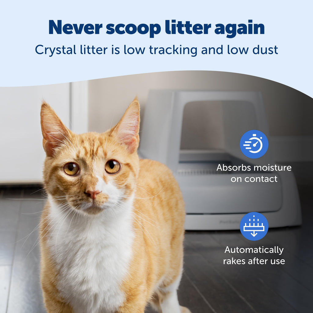 Self-Cleaning Litter Box N6464