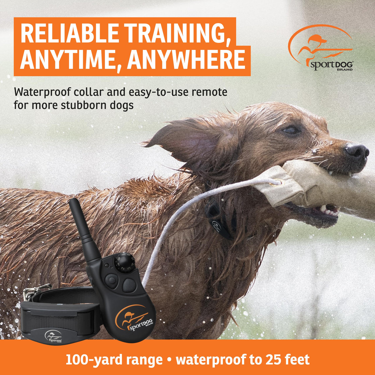 Remote Trainer 100-Yard Range Z7857